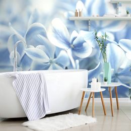 Originální fototapeta modré květy hortenzie