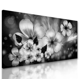 Obraz černobílé květiny ve vintage provedení