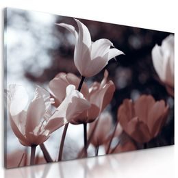 Obraz jemné tulipány u lesa