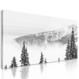 Obraz černobílé stromy pokryté čerstvým sněhem