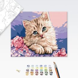 Malování podle čísel roztomilé koťátko