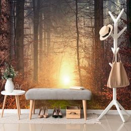 Samolepící fototapeta tajemný podzimní les