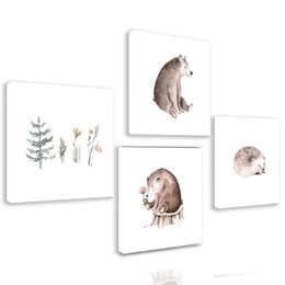 Set obrazů zvířátka z lesa