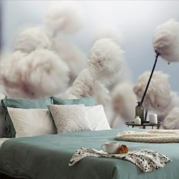 Okouzlující tapeta květiny bavlny ve větru