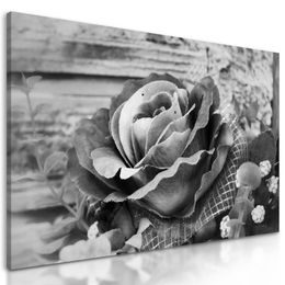 Obraz nádherná vintage růže v černobílém provedení