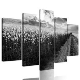 5-dílný obraz nádherná cestička ve středu pole v černobílém provedení