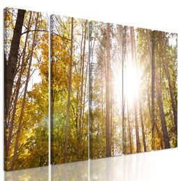 5-dílný obraz slunce v korunách stromů