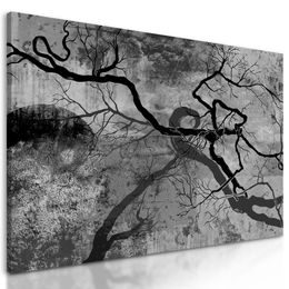 Obraz temné větve stromu v černobílém provedení