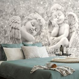 Jedinečná samolepící fototapeta dvojice spící andílky