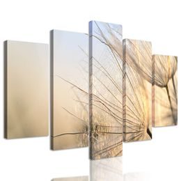 5-dílný obraz dechberoucí detail pampelišky