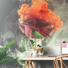 Samolepící tapeta růže s barevným kouřem