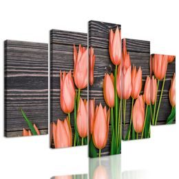 5-dílný obraz krásné tulipány v jarní zahradě