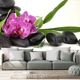 Fototapeta zen zátiší s orchidejí