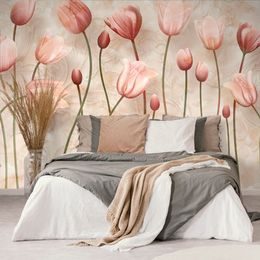Tapeta jemnost starorůžových tulipánů