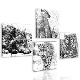 Set obrazů majestátní zvířata v černobílém provedení
