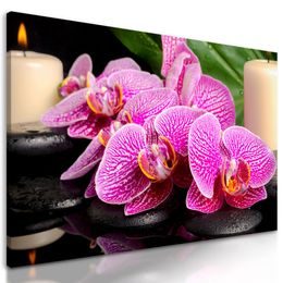 Obraz květiny orchideje s uklidňujícím pozadím