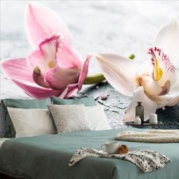 Samolepící fototapeta romantické květiny divoké orchideje