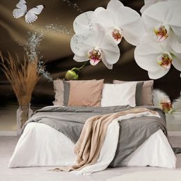 Tapeta harmonie motýla s orchidejí