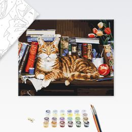 Malování podle čísel kočka na polici s knihami