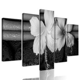 5-dílný obraz bambus a zen kameny v černobílém provedení