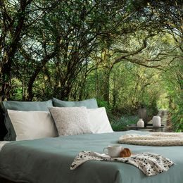 Tapeta cesta do magického lesa