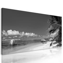Obraz nádherná písečná pláž v černobílém provedení
