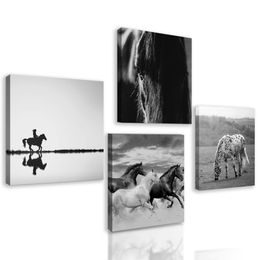 Set obrazů černobílá elegance koní