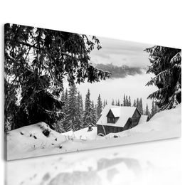 Obraz černobílý domeček v klíně zasněžené přírody