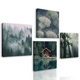 Set obrazů les ponořený do mlhy