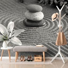 Fototapeta černobílá zen zahrada s kameny a květinami