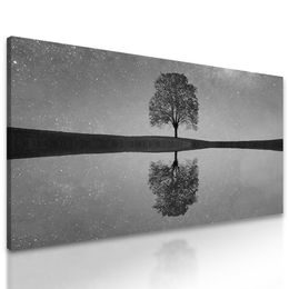 Obraz odraz hvězd na hladině jezera v černobílém provedení