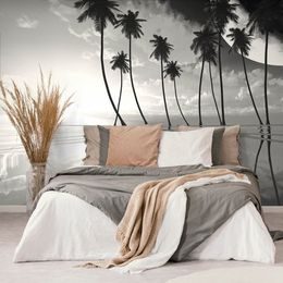 Samolepící tapeta černobílé exotické palmy při zapadajícím slunci