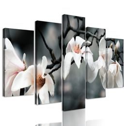 5-dílný obraz magnolie po zimě