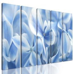 5-dílný obraz modré květiny hortenzie