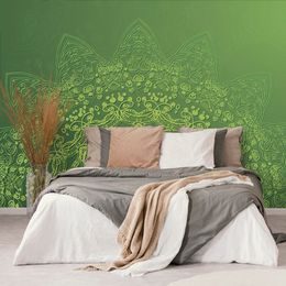 Tapeta přírodní Mandala