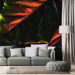 Tapeta palmové listy v neobyčejném provedení