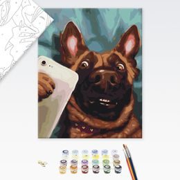 Malování podle čísel pes influencer