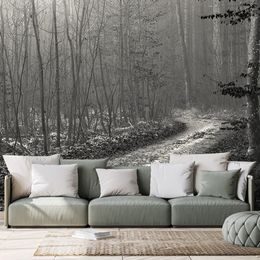 Fototapeta černobílá pohádková cesta lesem