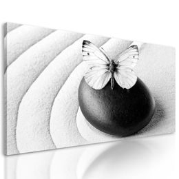Obraz nádherný bílý motýl na Zen kameni v černobílém provedení