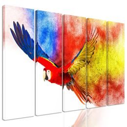 5-dílný obraz pestrobarevný letící papoušek
