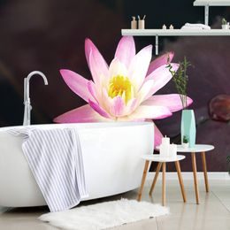 Samolepící tapeta tajemný květ leknínu