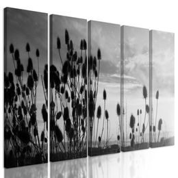 5-dílný obraz západ slunce za stéblami trávy v černobílém provedení