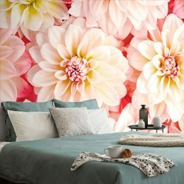 Fototapeta půvabné dálie v pastelových odstínech