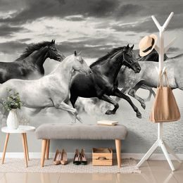 Okouzlující černobílá samolepící tapeta stádo cválajících koní
