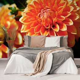 Krásná fototapeta květ dálí