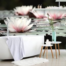 Fototapeta okouzlující květ lotosu