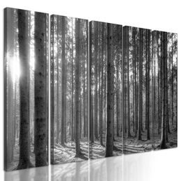 5-dílný obraz paprsky slunce mezi stromy v černobílém provedení