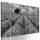 5-dílný obraz pole plné levandule v černobílém provedení
