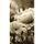 Nádherná sépiová samolepící fototapeta v objetí vlčích máků