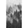 Samolepící fototapeta černobílé stromy zahalené do mlhy
